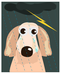 Sad Dog IN The Rain