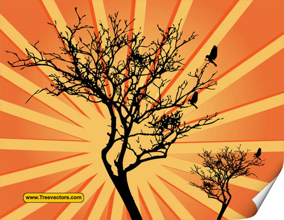 Vector Sunburst Background with Tree